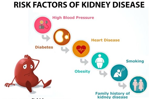 Risk-Factors-of-Kidney-Disease-1.jpg