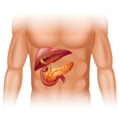 cancer_pancreas44381811_M.jpg