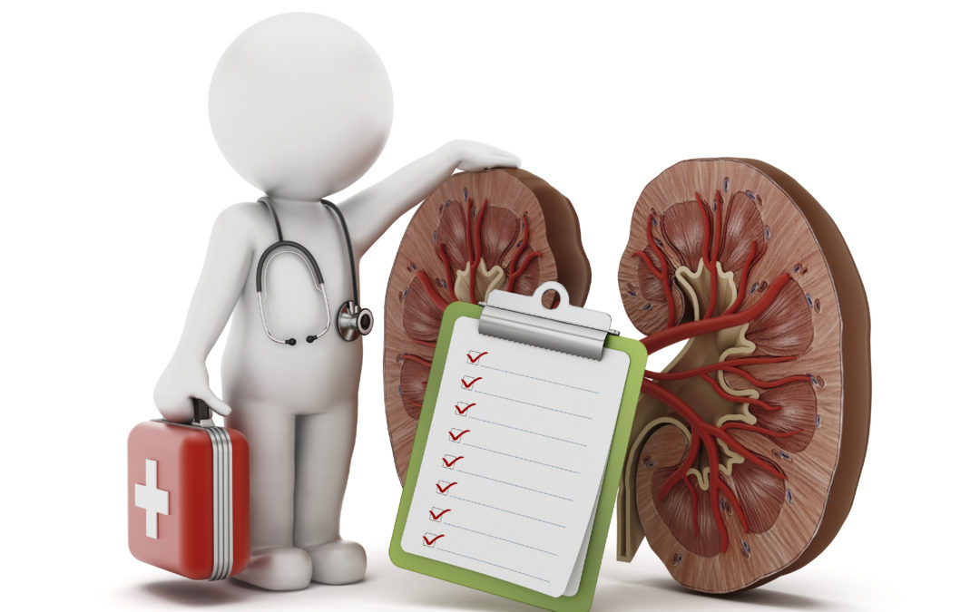 Renal-function-25954109_Double-1080x675.jpg