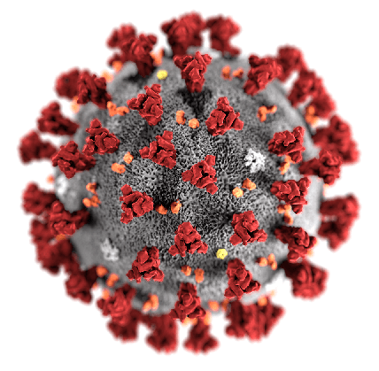ویروس-کرونا-2.png