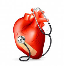 قلب و بیماری های قلبی